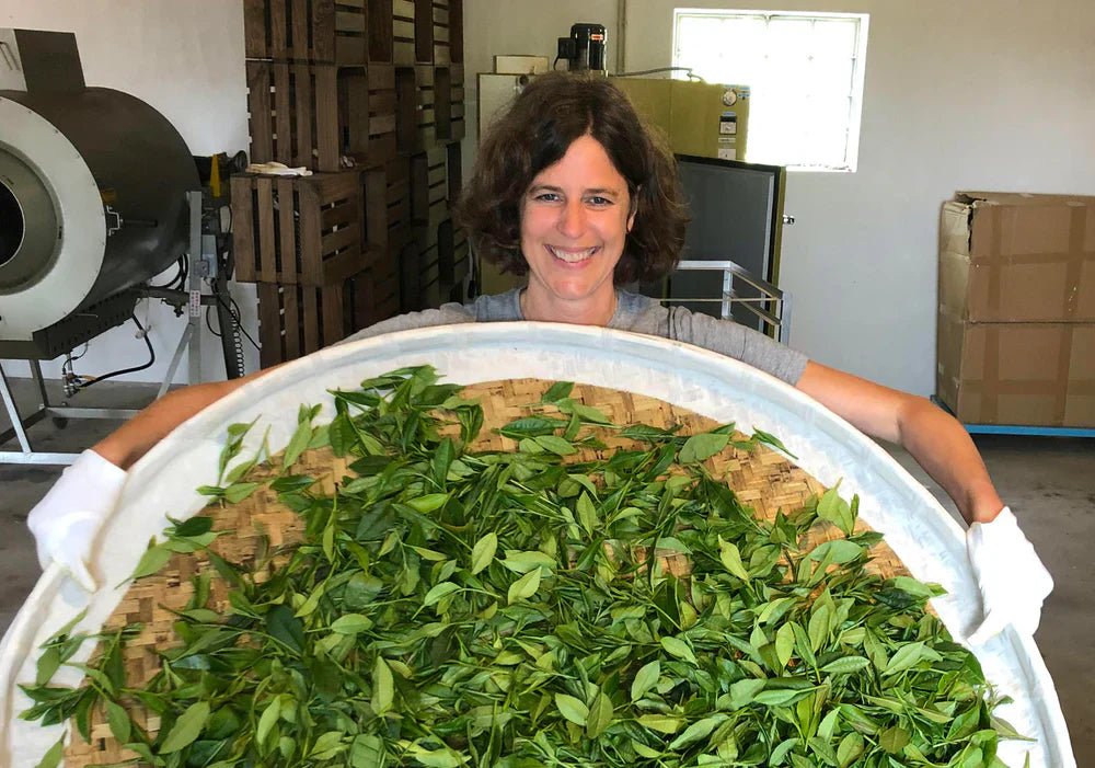 Chá Camélia, The Portuguese Tea Garden That Redefined European Tea - Farmatuur