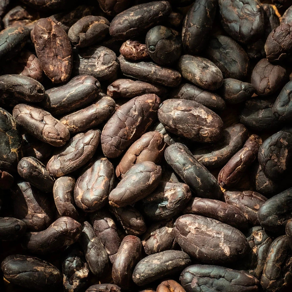 What Cacao Can Really Do for You! - Farmatuur