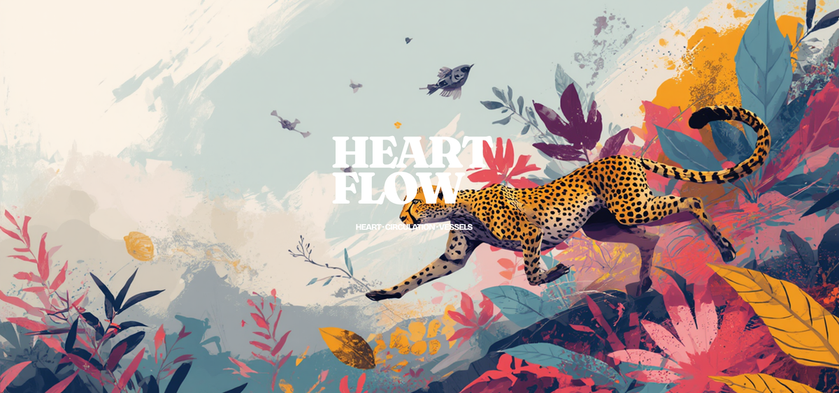 Heart Flow - Farmatuur