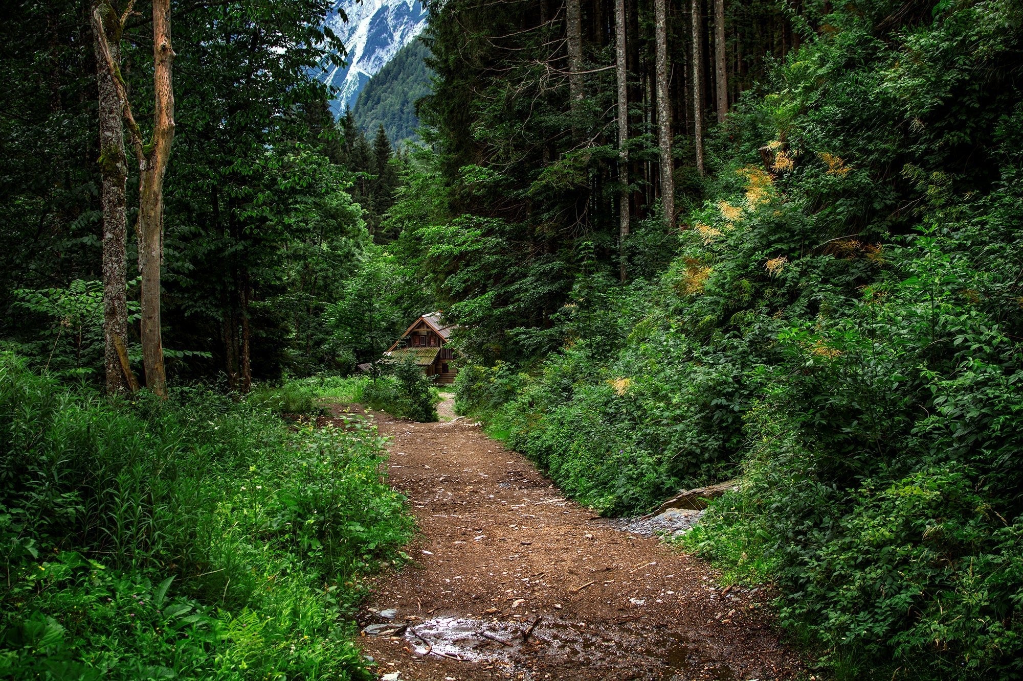 Queen Nature’s Curated Wonders - Farmatuur