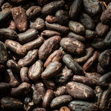 Unroasted Cacao Beans