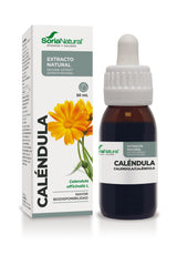 Calendula Extract - Gastric protection & menstrual cycle support