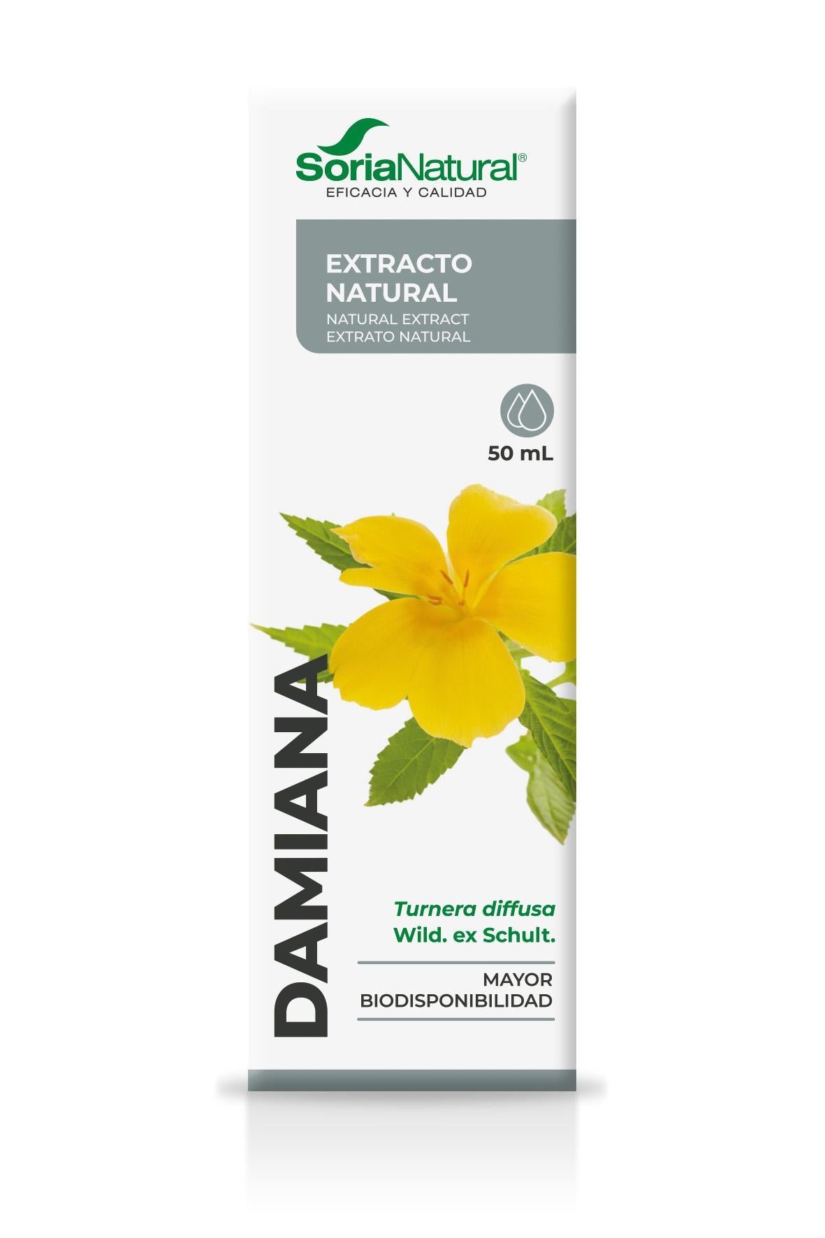 Damiana Extract - A Botanical Tradition of Desire & Vitality - Farmatuur
