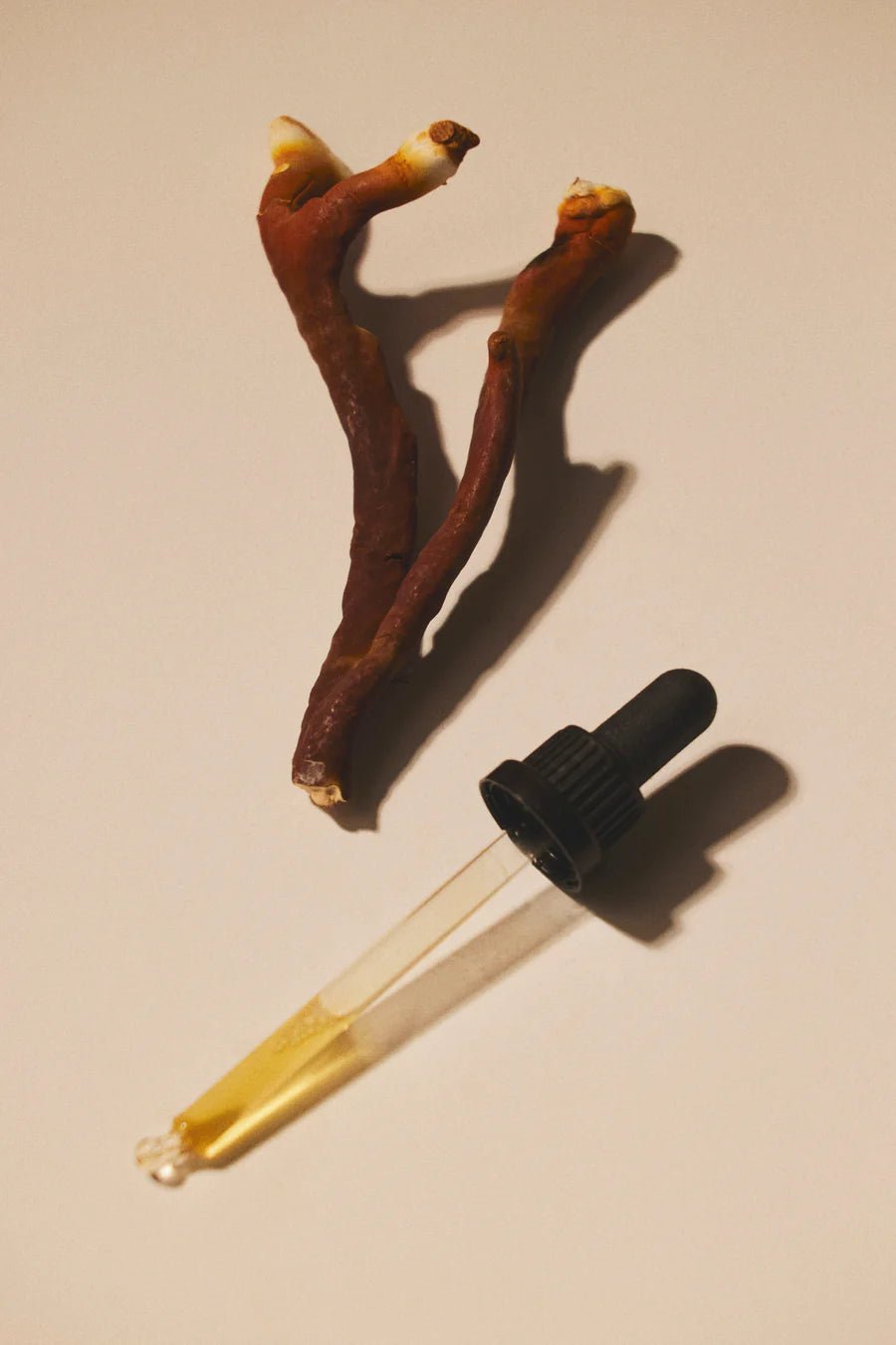 Liquid Reishi Extract - Farmatuur